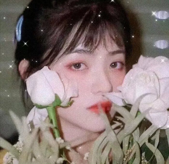 惊世骄雄